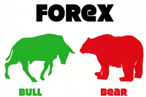 hat are Bull and Bear Markets in Forex